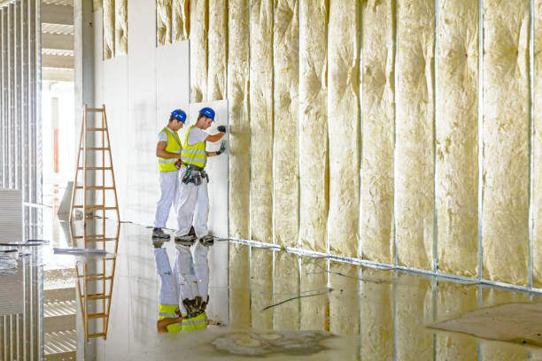 Best Commercial Insulation in Crittenden, KY